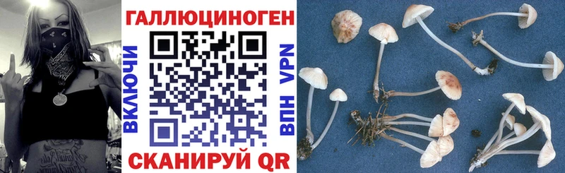 Галлюциногенные грибы прущие грибы Киренск